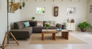 Ideas para decorar tu hogar con elementos naturales